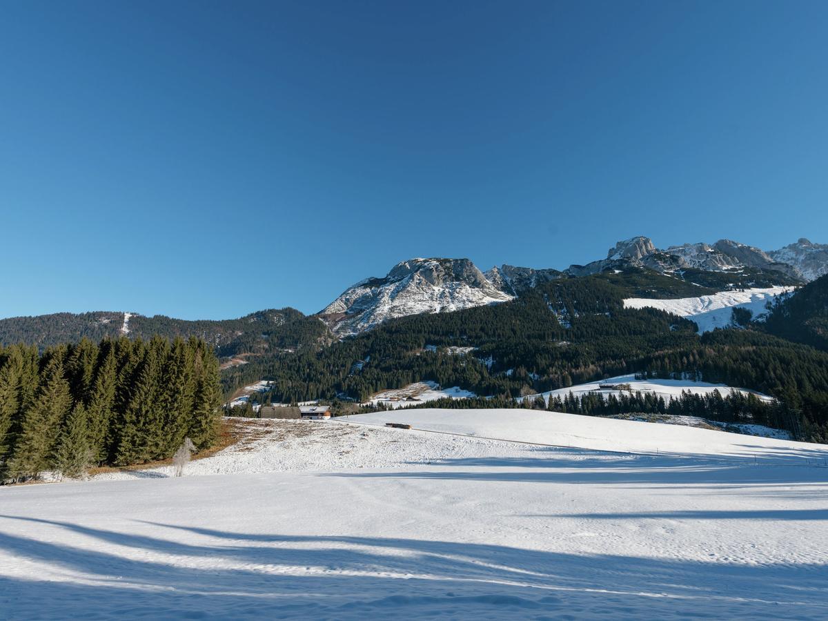 Chalet In Annaberg-Lungoetz With Shared Sauna别墅 外观 照片